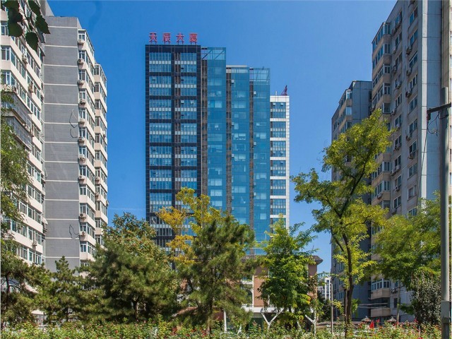 新洲区社区家政介绍